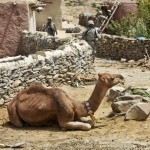 hires_100827-A-4830W-019c