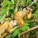 (Photo: Angelo DeSantis)