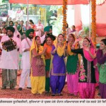 pau mela.sm