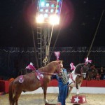 800px-Cirkus_Safari_u_Čakovcu_-_konji.sm