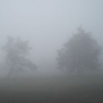 oaklandfog1.sm_