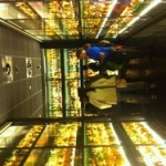 scotch photo.resized