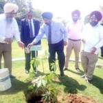 Gulzar Group of Institutes Khanna Ludhiana organized plantation drive at its campus copy.resized