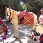 sonu marok(1).resized