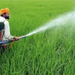 6 NOV JAITU DHARAM PAL.resized