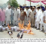 1 SHAHKOT NEWS 01.resized