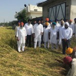 12 majithia SAD asks Cong govt 1.resized