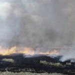 Stubble_burning_in_North_Essex_-_geograph.org.uk_-_1448777.resized