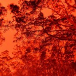 australia-fire.resized