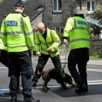 IMG-20210606-WA0001.resized