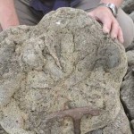 IMG-20210620-WA0022.resized