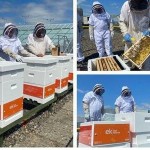 IMG-20210710-WA0003.resized