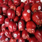 IMG-20210713-WA0025.resized