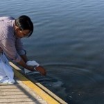 IMG-20210801-WA0009.resized