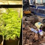 IMG-20210803-WA0003.resized