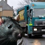 IMG-20210812-WA0019.resized