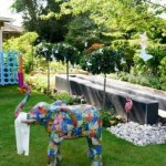 IMG-20210812-WA0021.resized