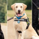 IMG-20210915-WA0011.resized