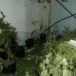 IMG-20210924-WA0008.resized