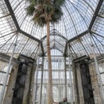 IMG-20210925-WA0000.resized