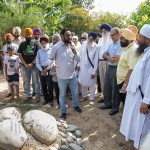 thumbnail(5).resized