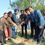 GGI management team sapling the plants 1.resized