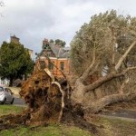 IMG-20220219-WA0008.resized