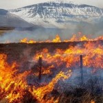 IMG-20220422-WA0003.resized