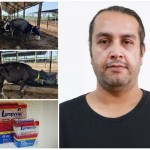 1660221960620.resized