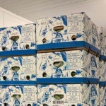 skynews-bananas-nca_5849759.resized