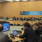 311598116_479287640902329_2189656333045358021_n.resized