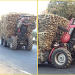 photoart.collagemaker.picgrid.edit.photoframe_2023314223044692.resized