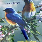 IMG_0931 (1).resized