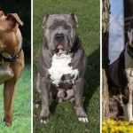 images (2) (7).resized