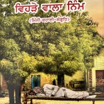 IMG_4746 (1).resized