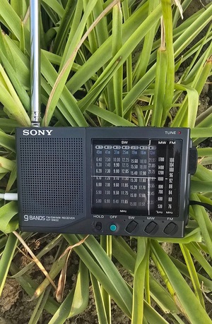 FB_IMG_1763375295751.resized