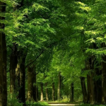 Screenshot_2026-01-28_09-20-43.resized