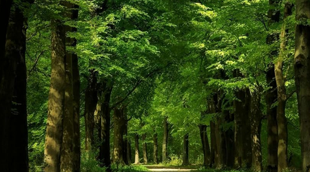 Screenshot_2026-01-28_09-20-43.resized