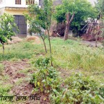 Bari Lal Singh.resized